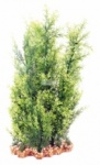 Aqua One Vibrance - Hygrophila/Ludwigia with Gravel Base XL 40cm